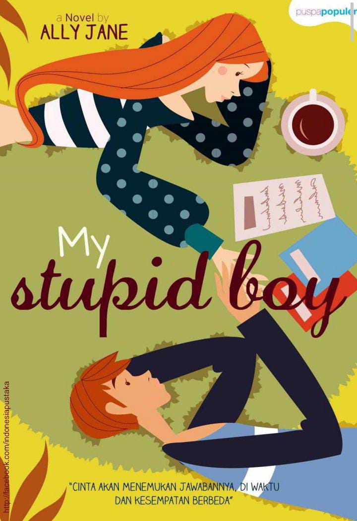 My Stupid Boy